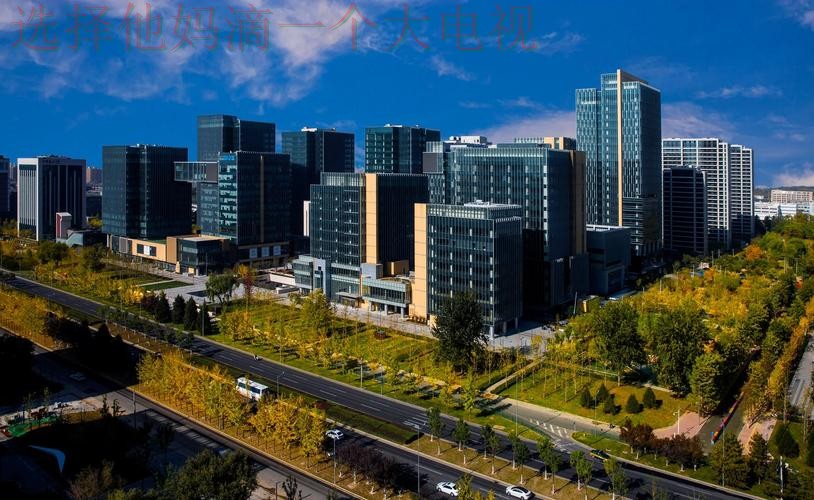 壹号国际科技控股集团发展解析