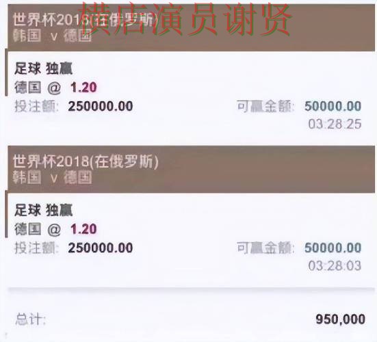 世界杯投注平台合集汇总：稳定性评测全指南 - 世界杯直播