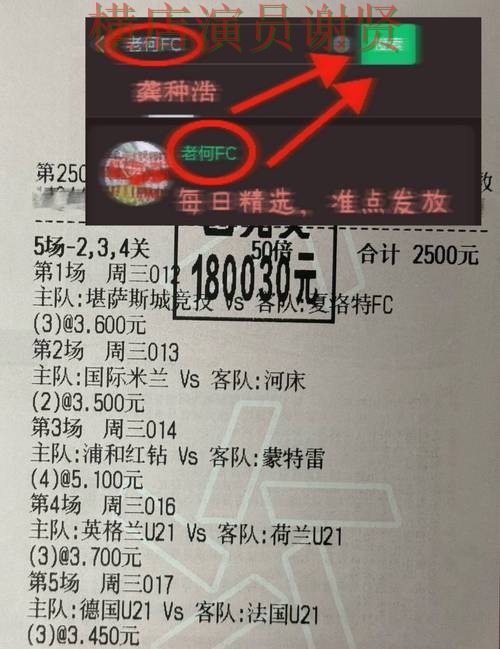 世界杯投注网站最新排名与用户体验分析